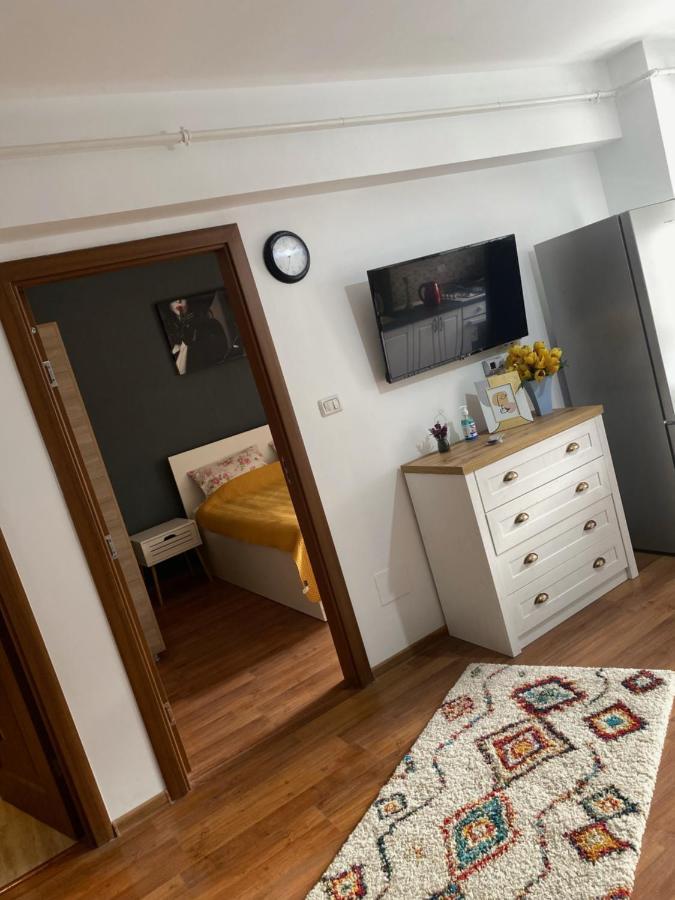 Mall Luxury Apartments Bacau Bagian luar foto